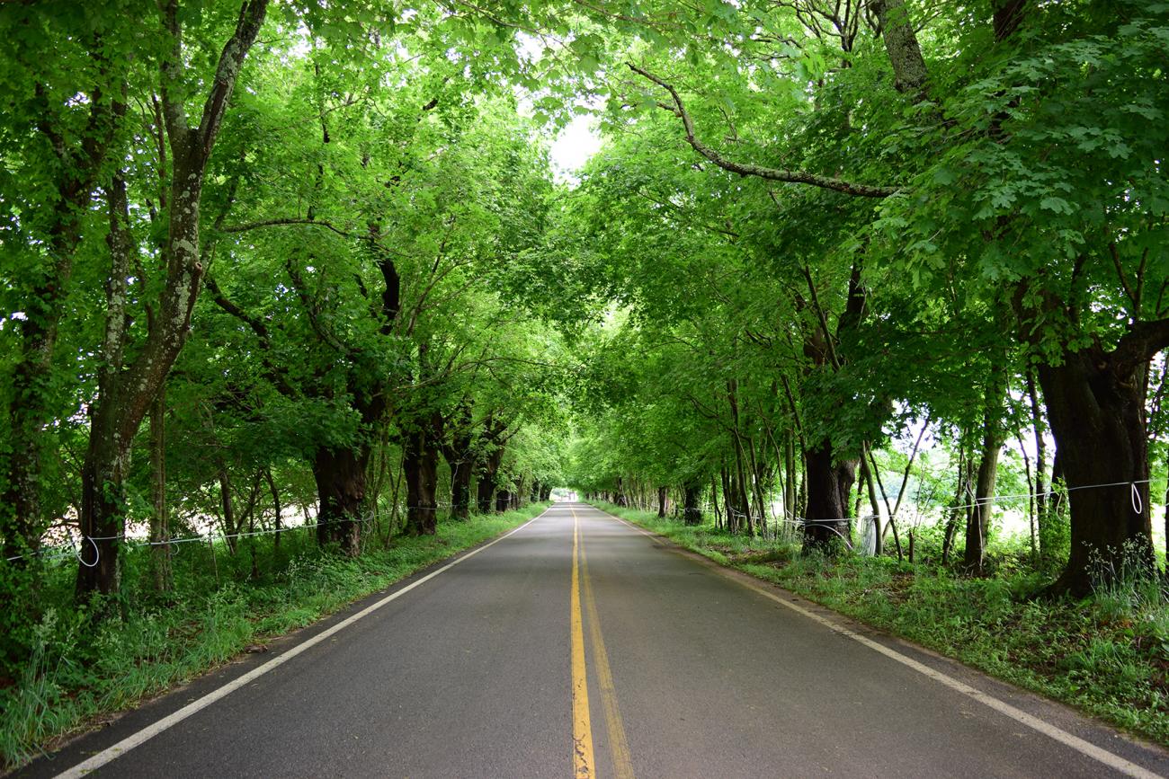 Richmond's Beaver River Road Historic District Listed in National
