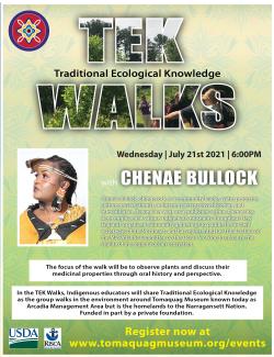 Tek Walks poster