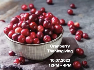Cranberry Thanksgiving